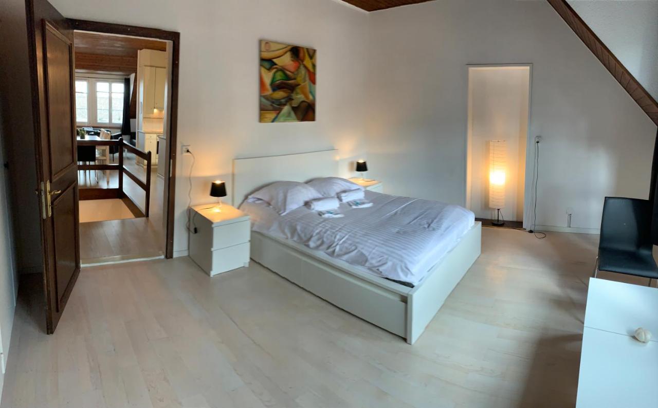 Luxury Duplex Vue Chateau Neuchâtel Dış mekan fotoğraf