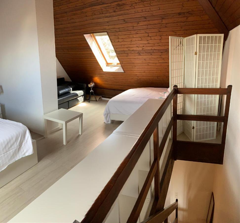 Luxury Duplex Vue Chateau Neuchâtel Dış mekan fotoğraf